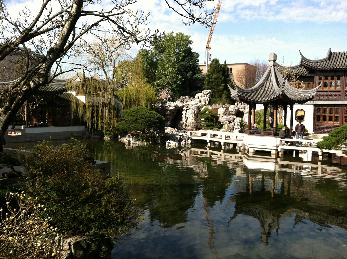 The pond - from the Chinese Gardens photo gallery.