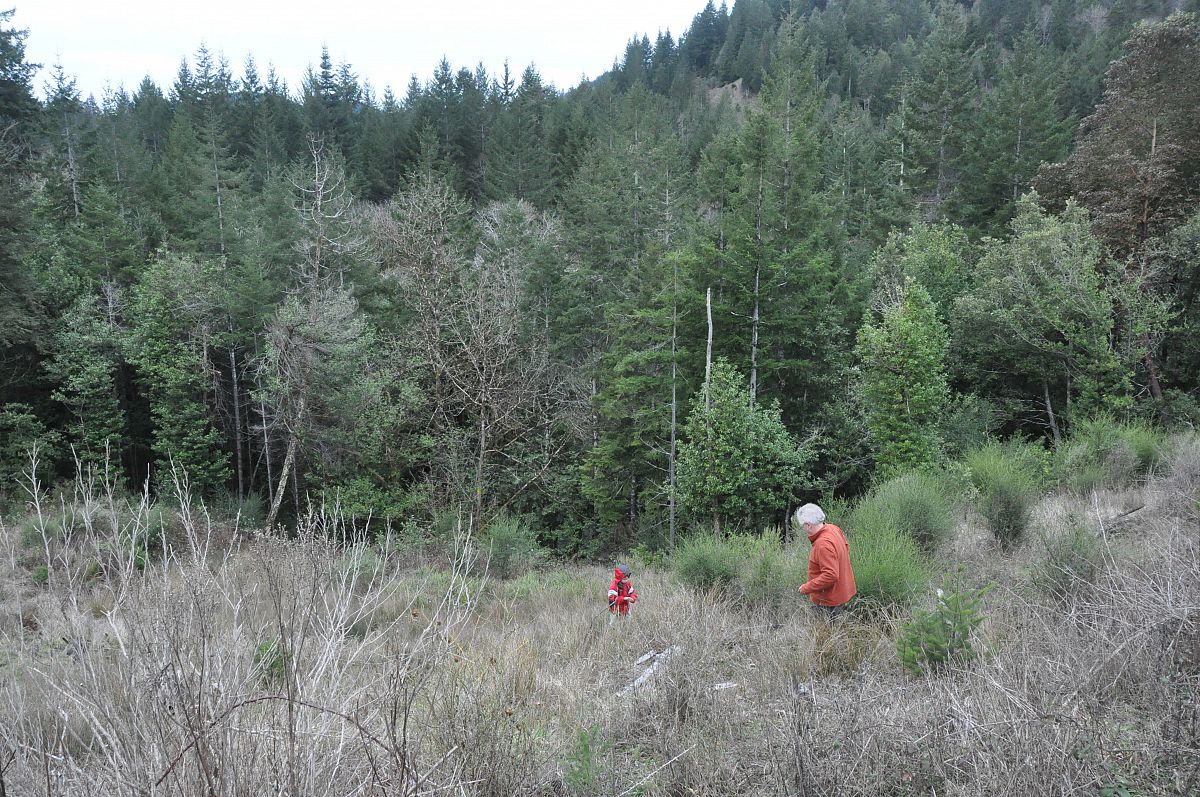 Hiking with Grandpa - from the January 2012 at the Cottams photo gallery.