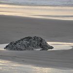 Rock, sand and water