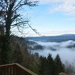 Rodney's deck - morning foggy view