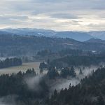 View of the Sandy River from Rodney's deck