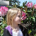 Lexi and rhododendrons