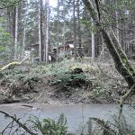 My parents' house from across the creek
