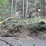 My parents' house from across the creek