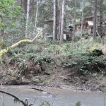 My parents' house from across the creek