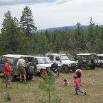 All lined up lookin' pretty