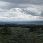 Brilliant views from the lookout tower