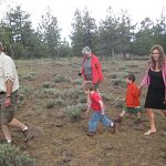 Hiking through elk poop to see an old lookout in a tree