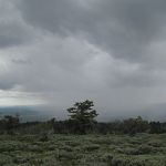 Now would be a great time to have to crawl under a car to fix something