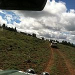 Ochoco National Forest