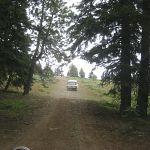 Ochoco National Forest