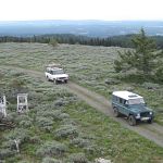 The rest of the pack arrives at the lookout