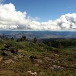 Top of Spanish Peak in Ochoco National Forest
