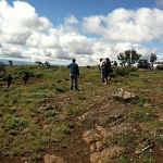 Top of Spanish Peak in Ochoco National Forest