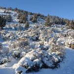 View from the trailhead