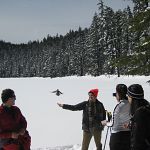 Alphan feeding the birds