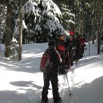 Heading out from the Frog Lake parking lot
