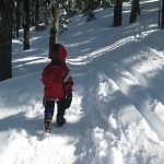 Our smallest snowshoer