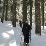 Snowshoeing our butts off